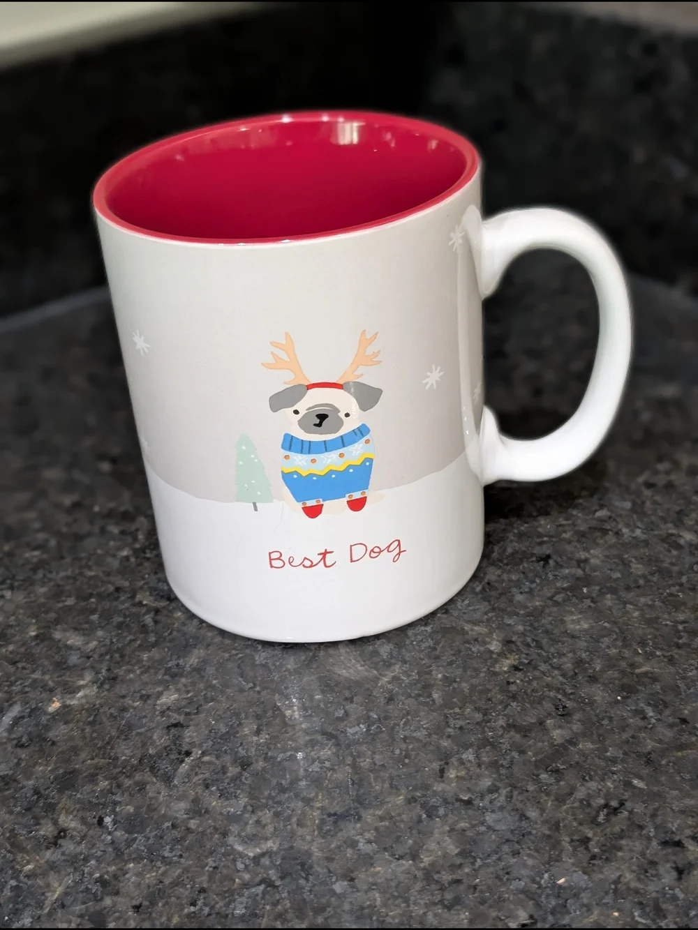 Best Dog Holiday Mug